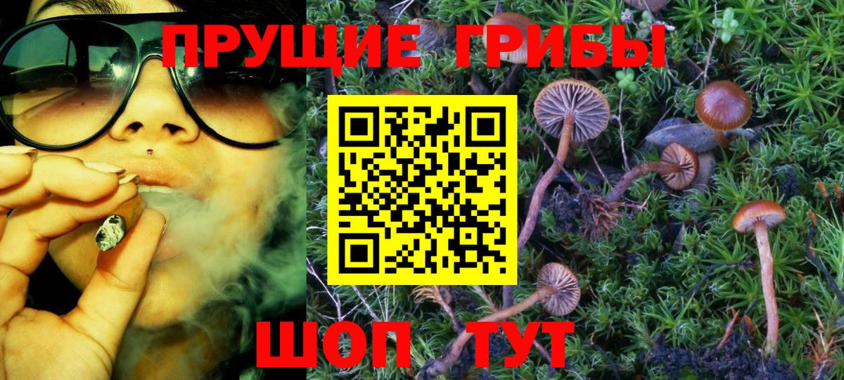 Оренбург  Псилоцибиновые грибы MAGIC MUSHROOMS  Вход с VPN 